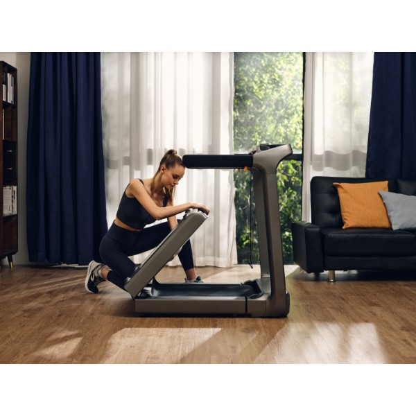 Фото - Беговая дорожка KingSmith WalkingPad Treadmill X218